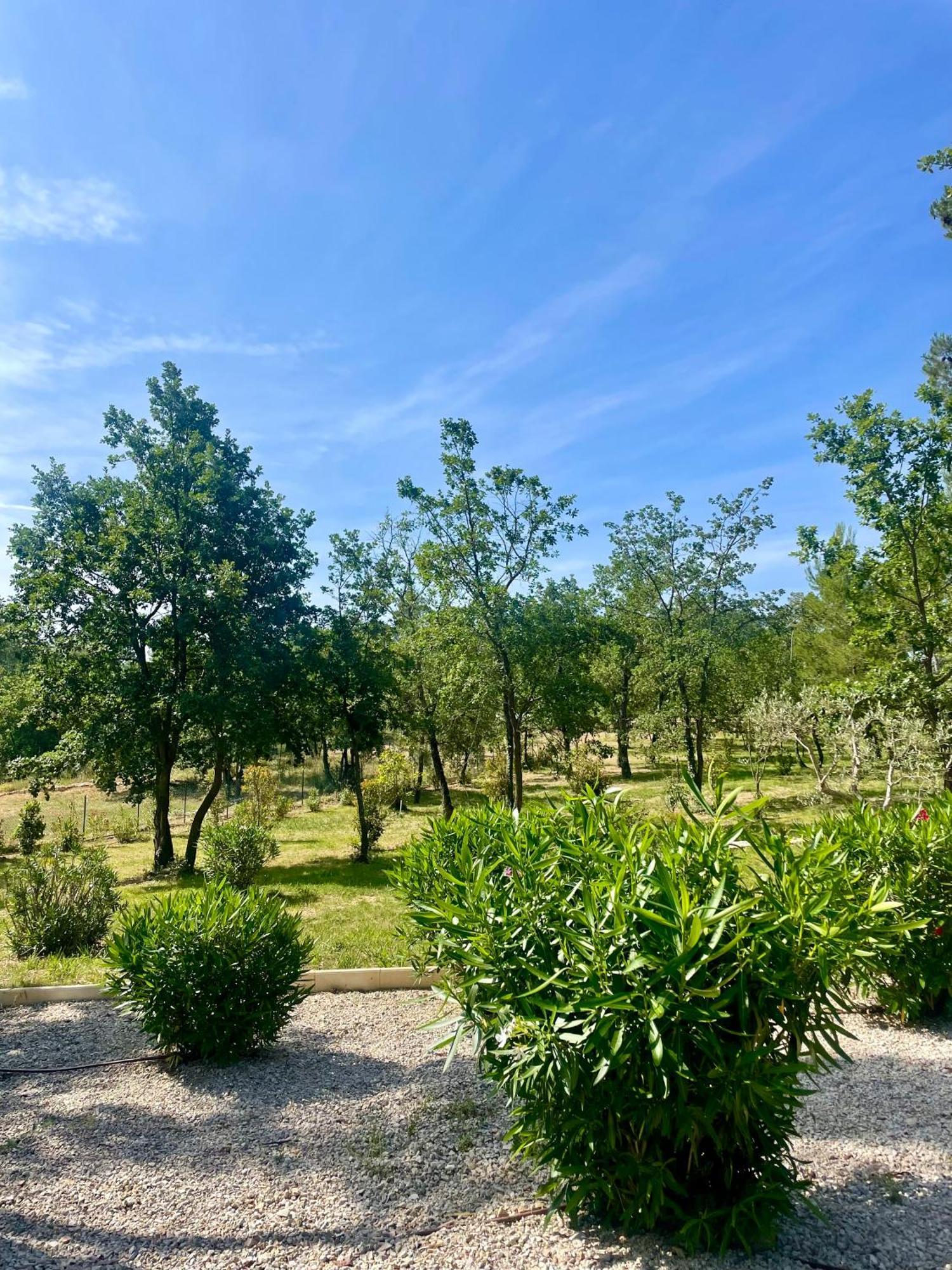 Superbe Villa Seillans La Grande Bastide Avec Piscine, Jardin, Climatisation Et Salle De Sport Экстерьер фото