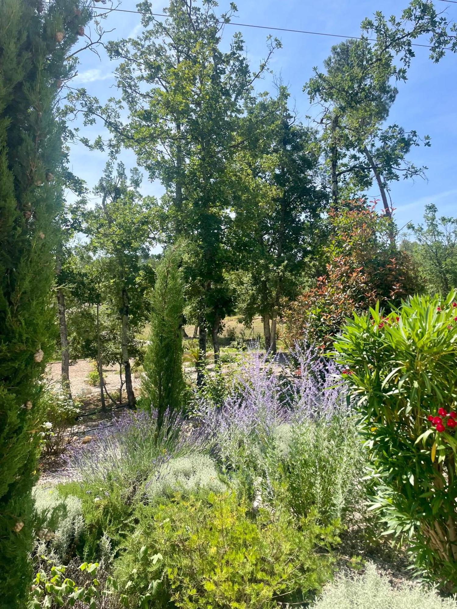 Superbe Villa Seillans La Grande Bastide Avec Piscine, Jardin, Climatisation Et Salle De Sport Экстерьер фото